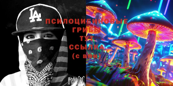 jwh Богородицк