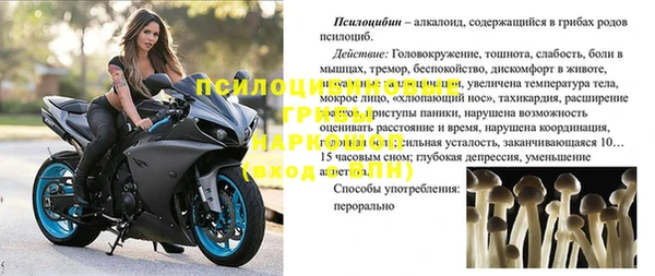 jwh Богородицк