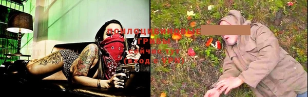 ПСИЛОЦИБИНОВЫЕ ГРИБЫ Богородск
