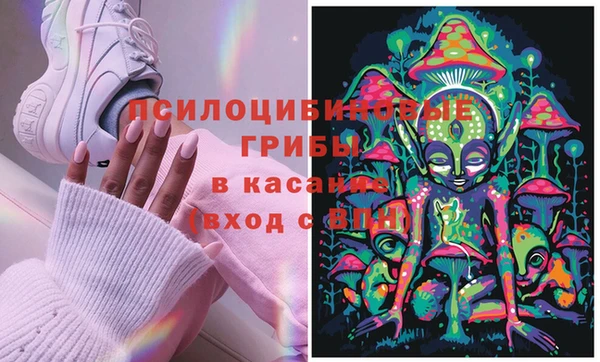 ПСИЛОЦИБИНОВЫЕ ГРИБЫ Богородск