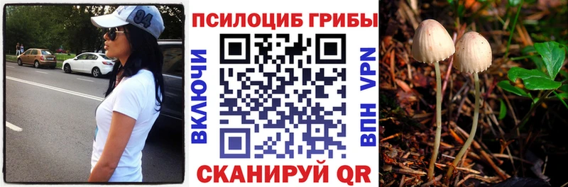 Псилоцибиновые грибы GOLDEN TEACHER  Усолье-Сибирское 
