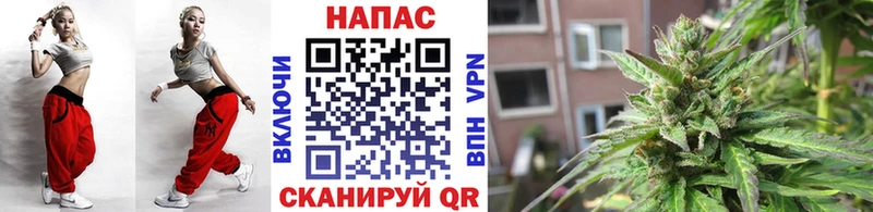 закладка  Усолье-Сибирское  МАРИХУАНА сатива 